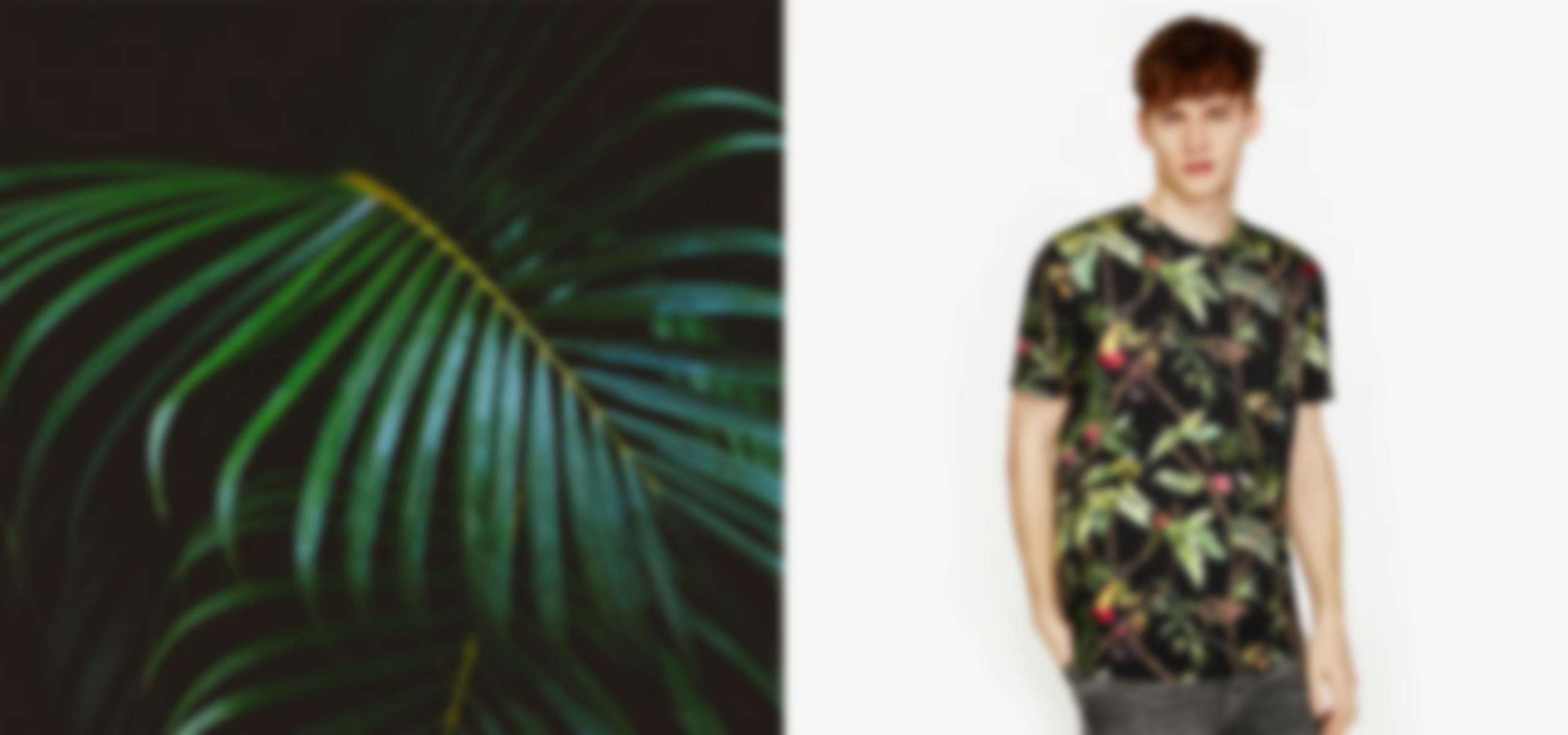 fashion-split-1.jpg